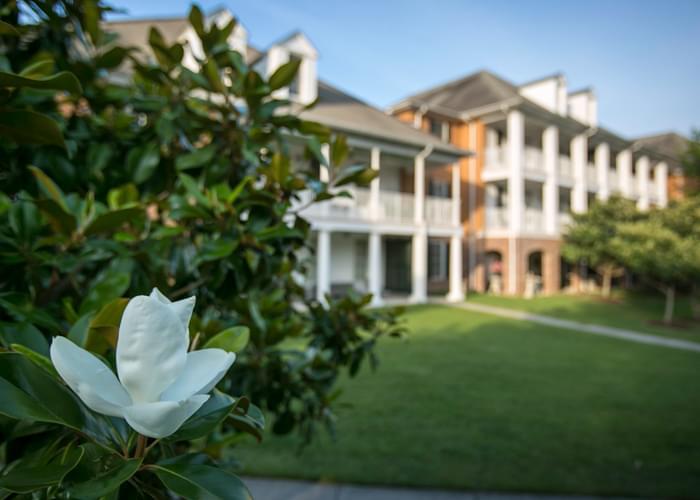 St. James Place Senior Living Community Assisted Living, Nursing Home